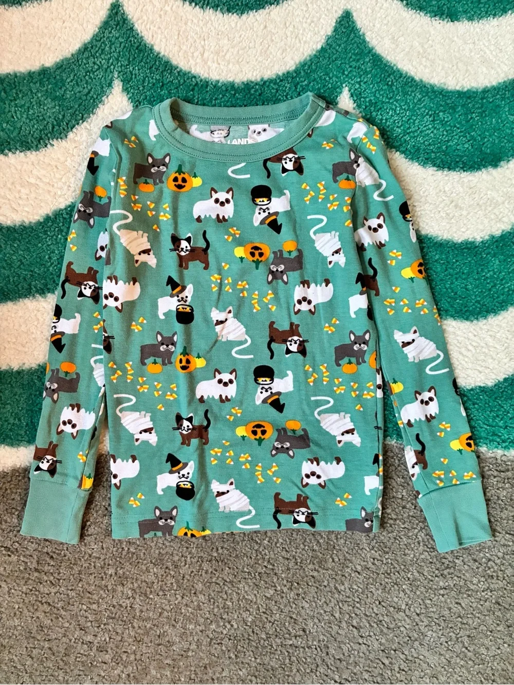 Lands’ End Snug Fit Halloween Pets PJ Set (Teal Shadow) Size 8
